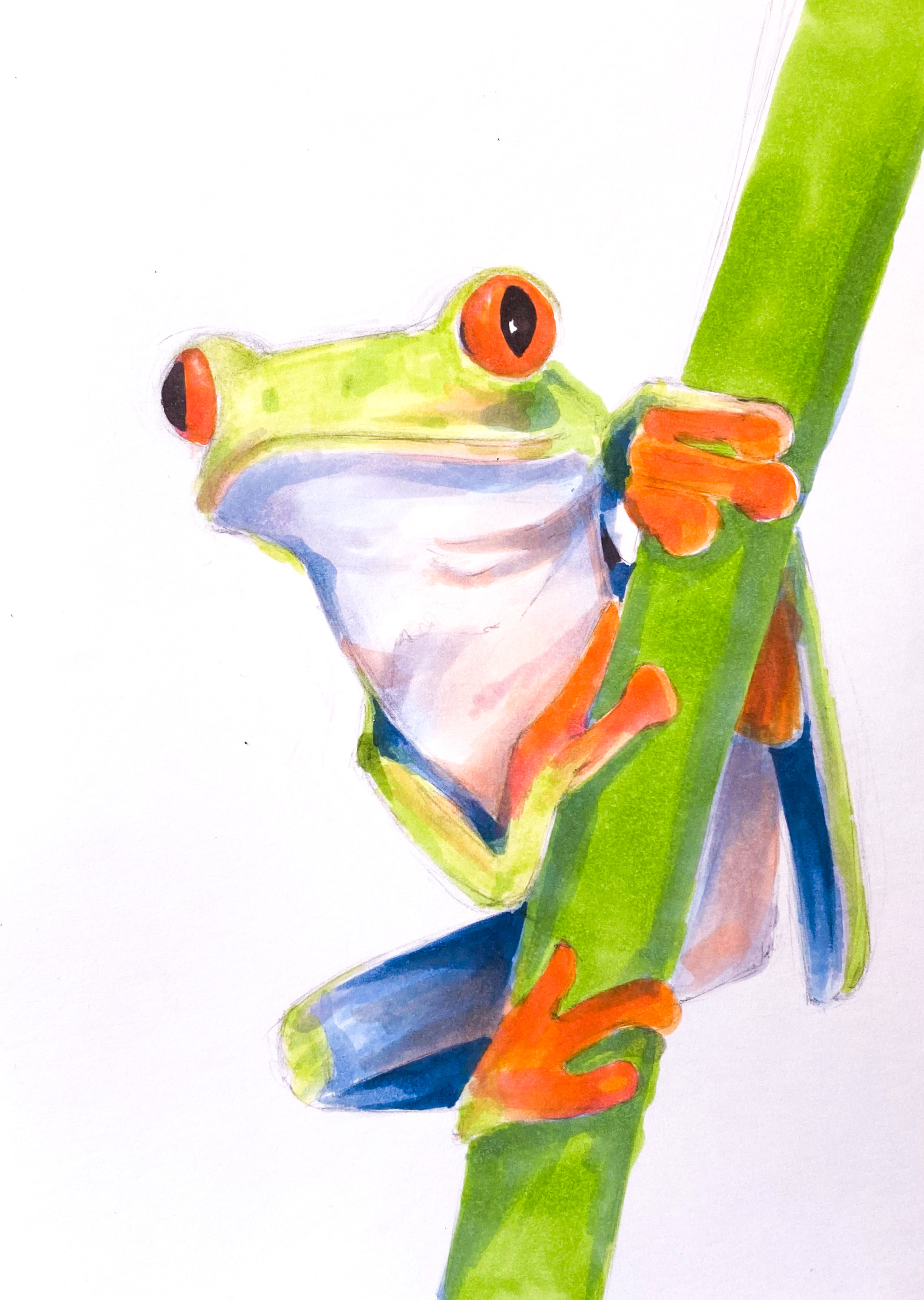 004 frog.JPG (1.12 MB)